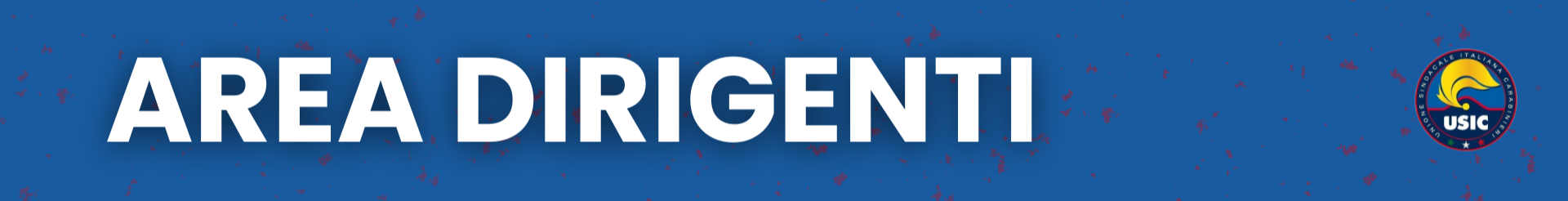 Area Dirigenti